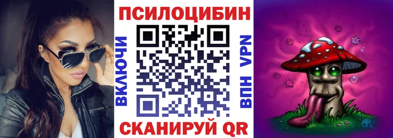 закладка  Мензелинск  Псилоцибиновые грибы мицелий 